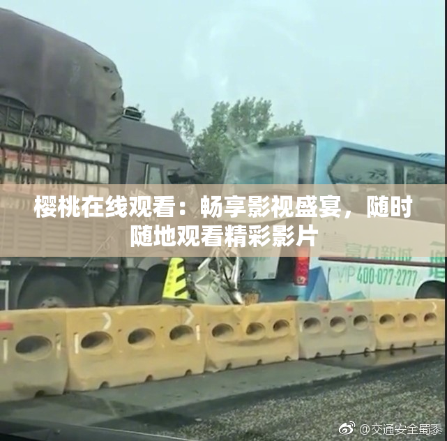 樱桃在线观看：畅享影视盛宴，随时随地观看精彩影片