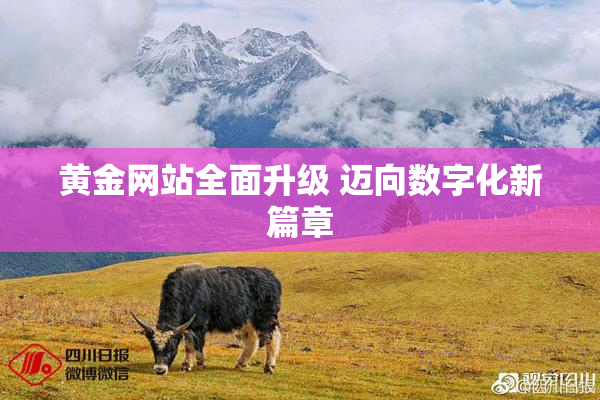 黄金网站全面升级 迈向数字化新篇章