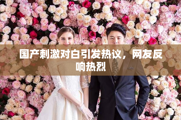 国产刺激对白引发热议，网友反响热烈