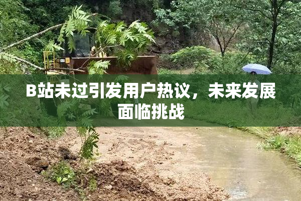 B站未过引发用户热议，未来发展面临挑战