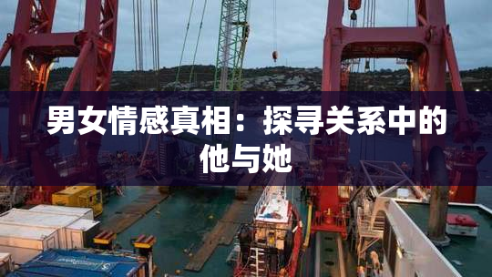 男女情感真相：探寻关系中的他与她
