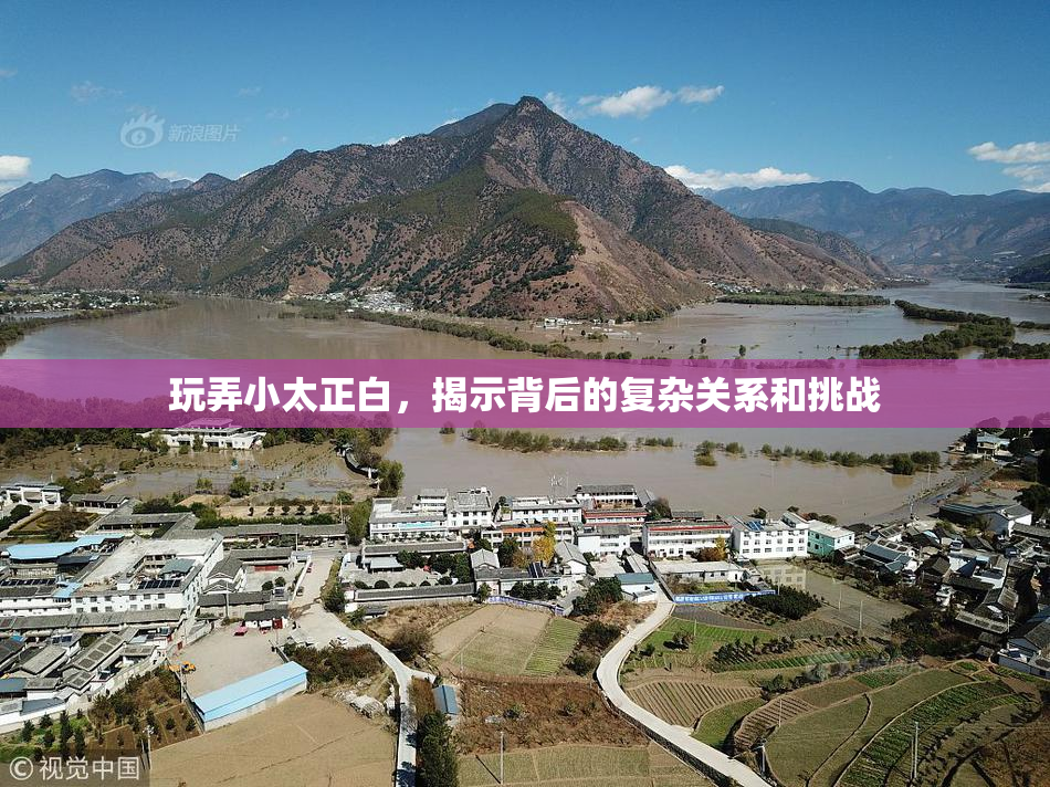 玩弄小太正白，揭示背后的复杂关系和挑战