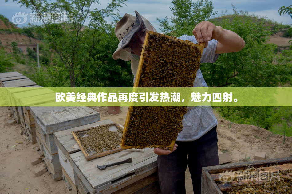 欧美经典作品再度引发热潮，魅力四射。