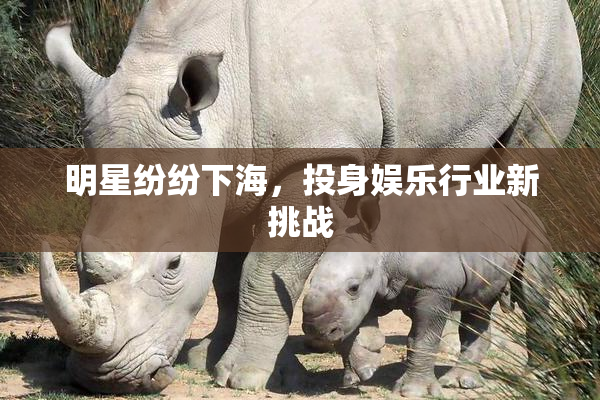 明星纷纷下海，投身娱乐行业新挑战