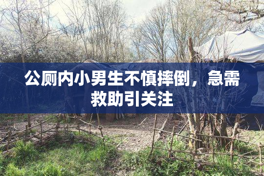 公厕内小男生不慎摔倒，急需救助引关注