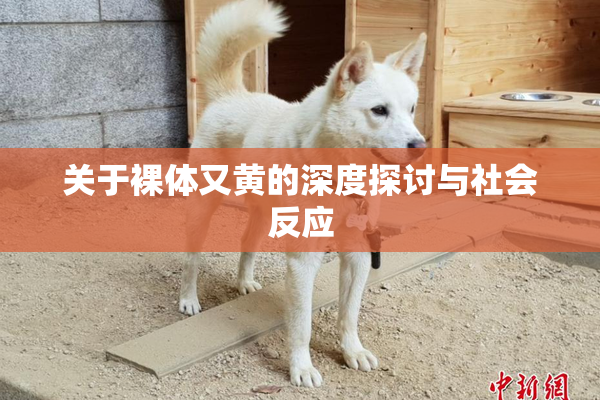 关于裸体又黄的深度探讨与社会反应