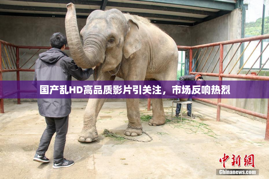 国产乱HD高品质影片引关注，市场反响热烈
