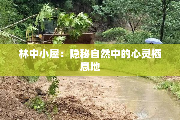 林中小屋：隐秘自然中的心灵栖息地