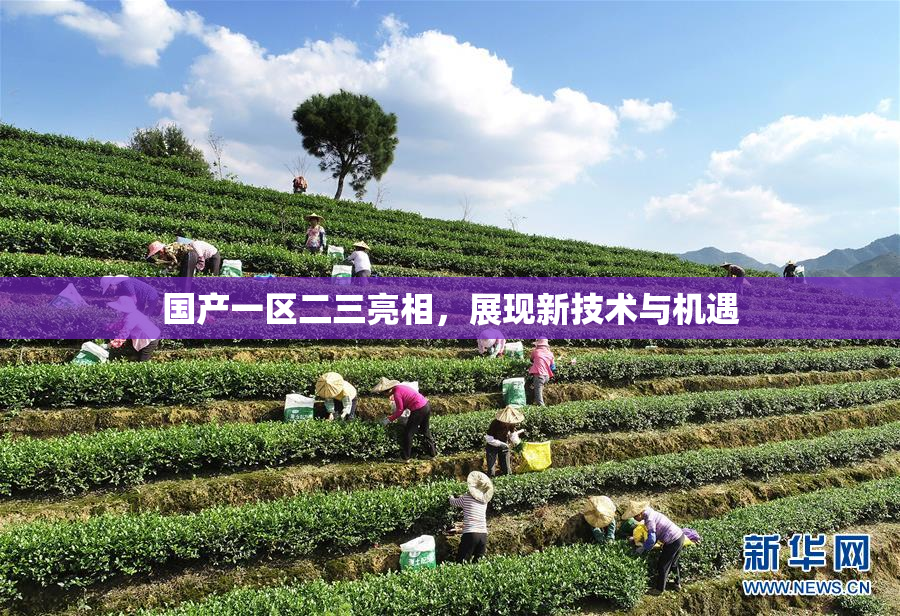国产一区二三亮相，展现新技术与机遇