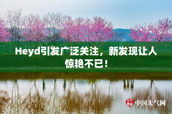 Heyd引发广泛关注，新发现让人惊艳不已！