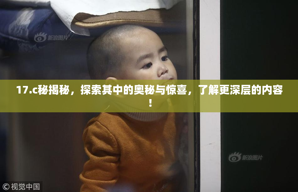 17.c秘揭秘，探索其中的奥秘与惊喜，了解更深层的内容！