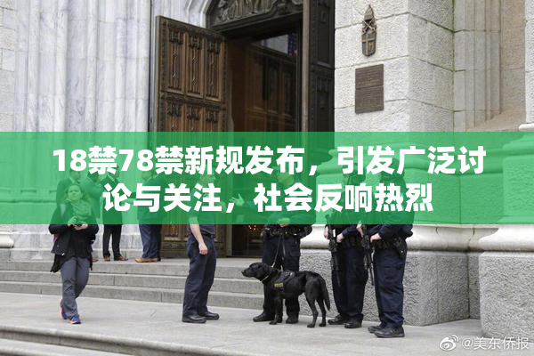 18禁78禁新规发布，引发广泛讨论与关注，社会反响热烈