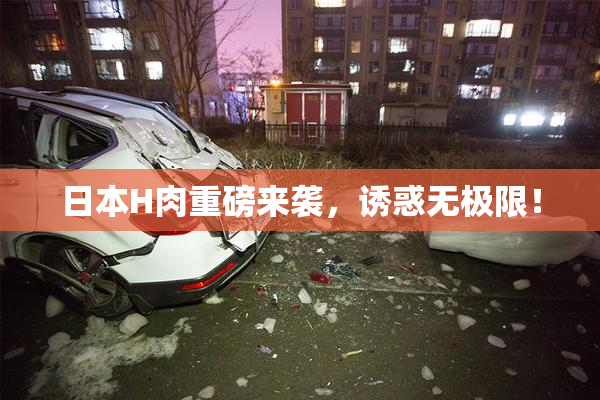 日本H肉重磅来袭，诱惑无极限！