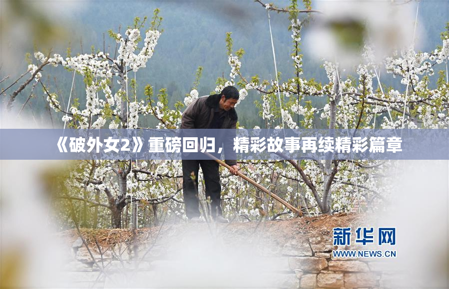 《破外女2》重磅回归，精彩故事再续精彩篇章
