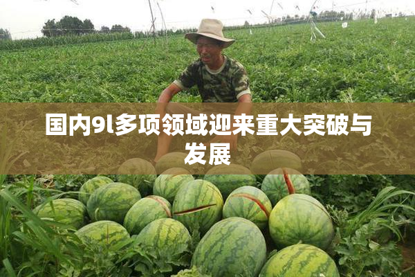 国内9l多项领域迎来重大突破与发展