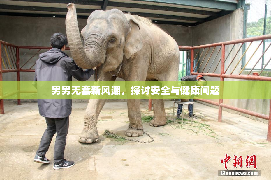 男男无套新风潮，探讨安全与健康问题