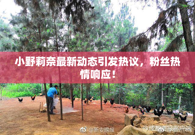小野莉奈最新动态引发热议，粉丝热情响应！