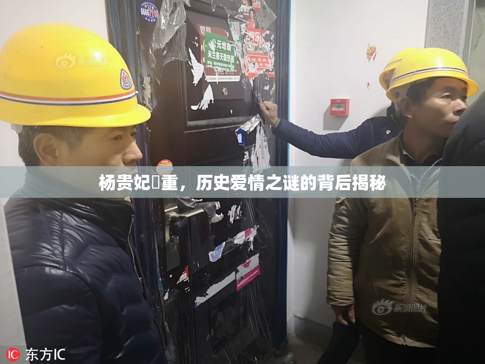 杨贵妃婬重，历史爱情之谜的背后揭秘