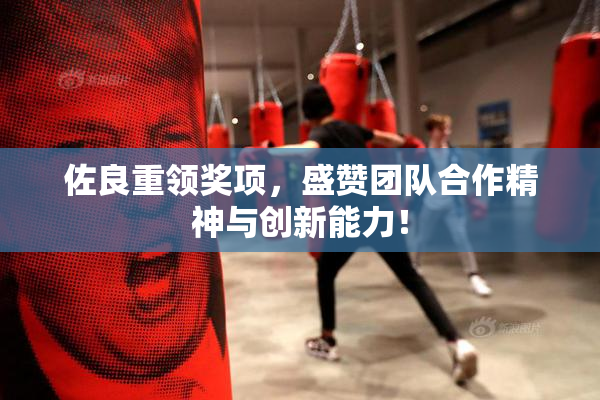 佐良重领奖项，盛赞团队合作精神与创新能力！