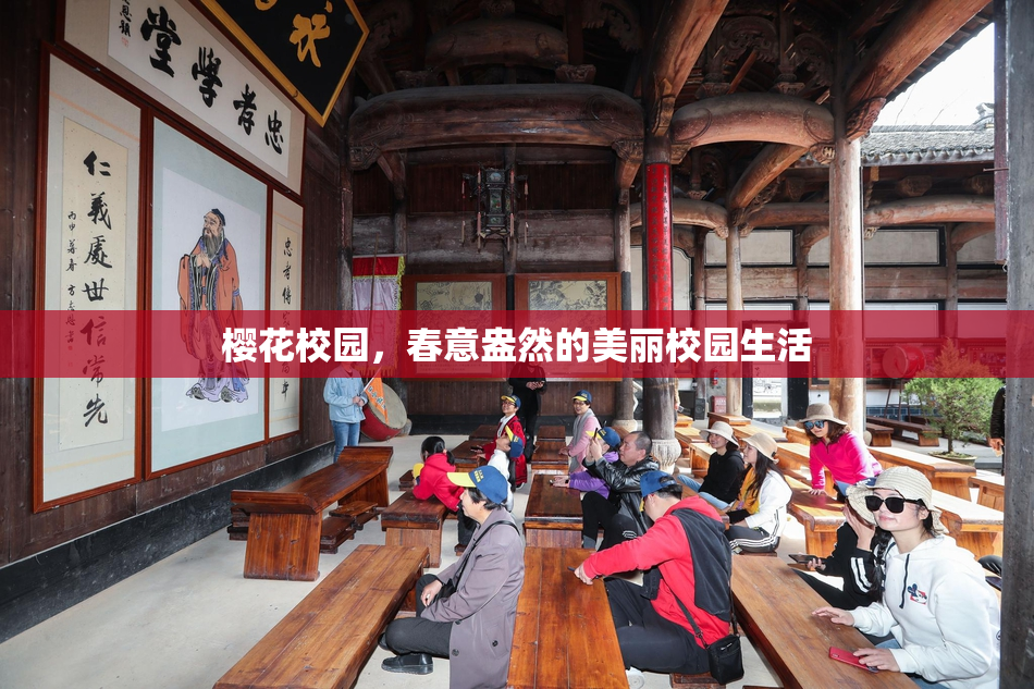 樱花校园，春意盎然的美丽校园生活