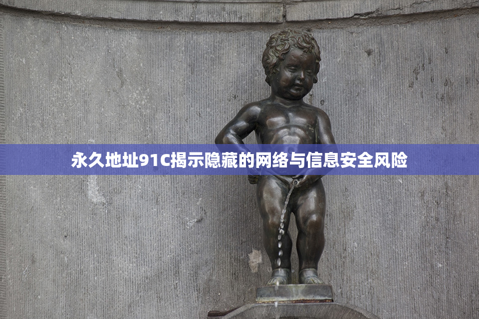 永久地址91C揭示隐藏的网络与信息安全风险