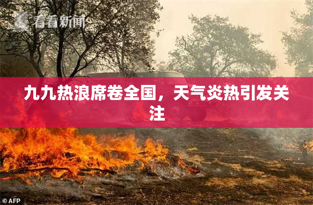九九热浪席卷全国，天气炎热引发关注