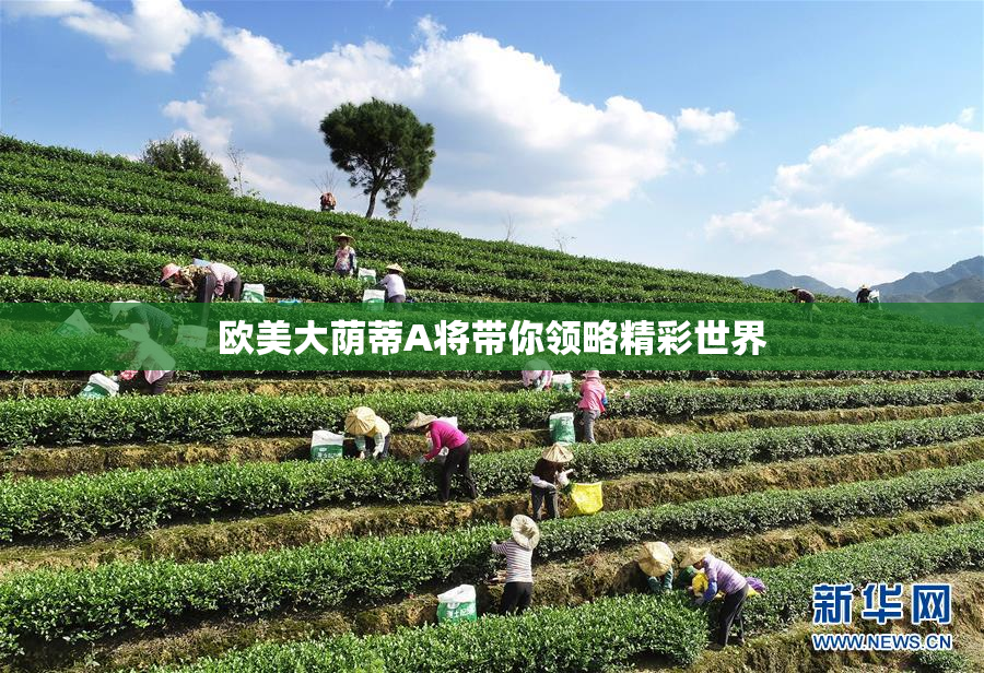欧美大荫蒂A将带你领略精彩世界