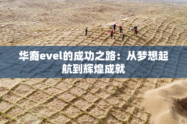 华裔evel的成功之路：从梦想起航到辉煌成就