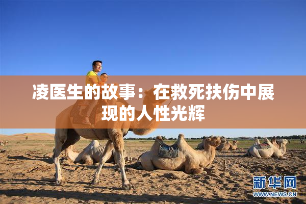 凌医生的故事：在救死扶伤中展现的人性光辉