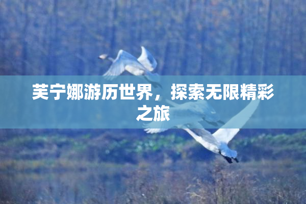 芙宁娜游历世界，探索无限精彩之旅