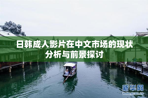 日韩成人影片在中文市场的现状分析与前景探讨