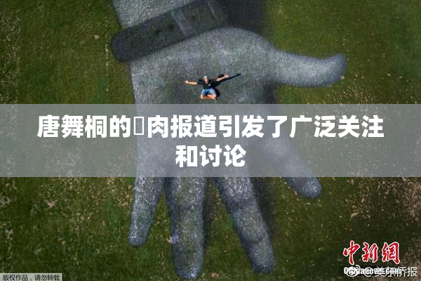 唐舞桐的婬肉报道引发了广泛关注和讨论