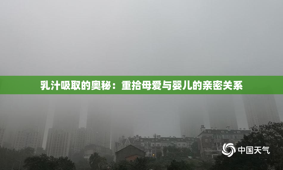 乳汁吸取的奥秘：重拾母爱与婴儿的亲密关系