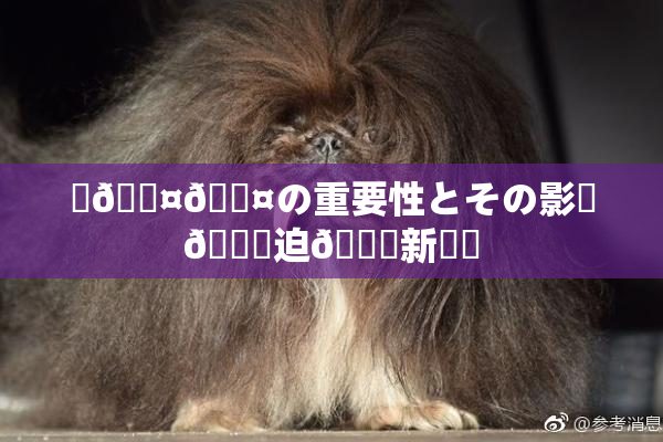 ✿🖤🖤の重要性とその影響🎆迫🌃新発見