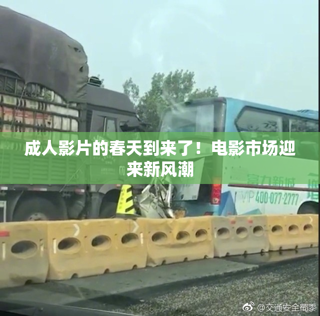 成人影片的春天到来了！电影市场迎来新风潮