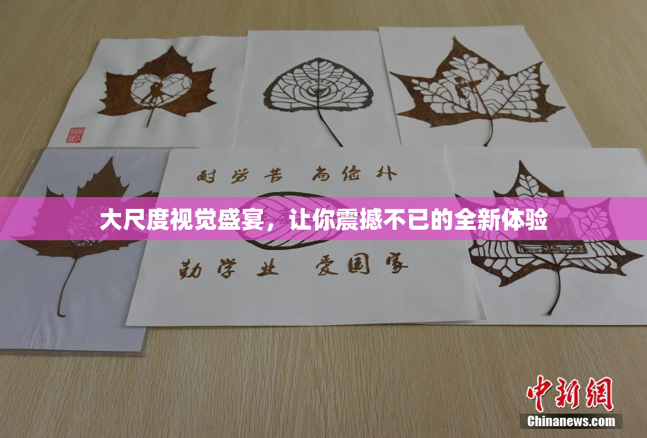 大尺度视觉盛宴，让你震撼不已的全新体验