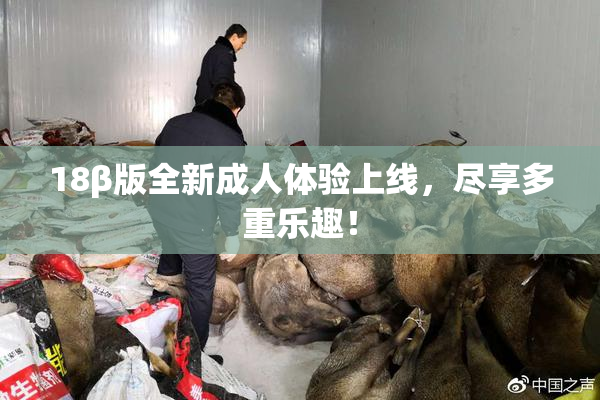 18β版全新成人体验上线，尽享多重乐趣！