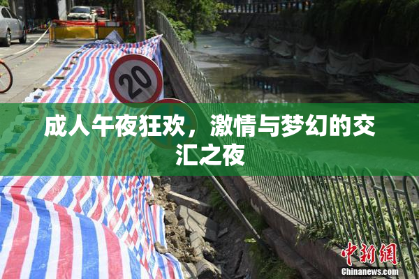 成人午夜狂欢，激情与梦幻的交汇之夜
