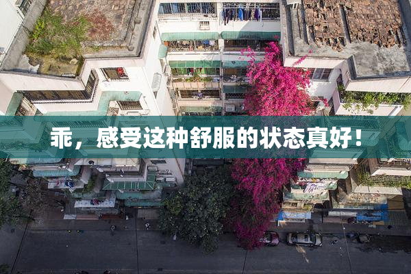 乖，感受这种舒服的状态真好！