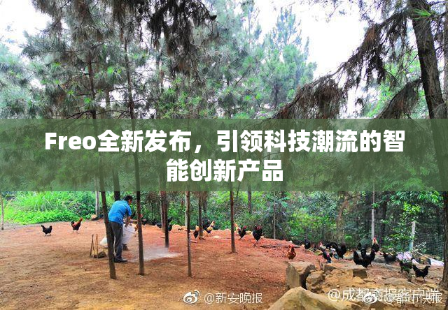 Freo全新发布，引领科技潮流的智能创新产品