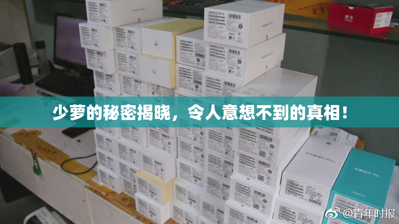 少萝的秘密揭晓，令人意想不到的真相！
