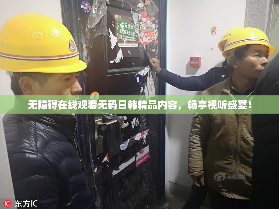 无障碍在线观看无码日韩精品内容，畅享视听盛宴！