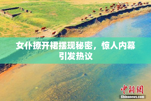 女仆撩开裙摆现秘密，惊人内幕引发热议