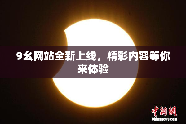 9幺网站全新上线，精彩内容等你来体验