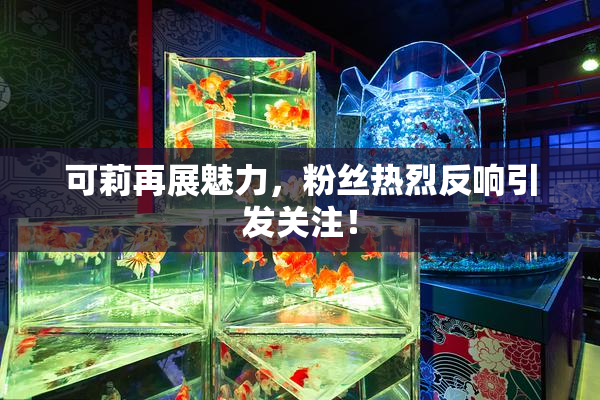 可莉再展魅力，粉丝热烈反响引发关注！