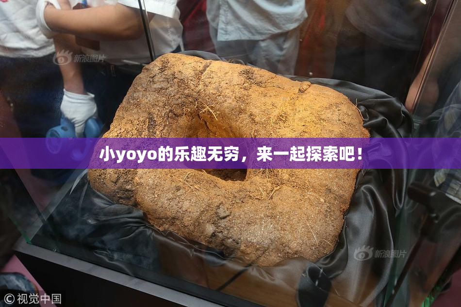 小yoyo的乐趣无穷，来一起探索吧！