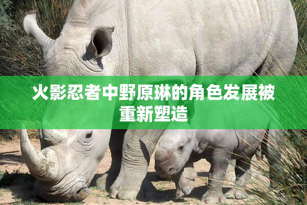 火影忍者中野原琳的角色发展被重新塑造