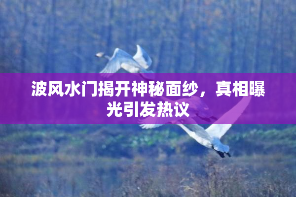 波风水门揭开神秘面纱，真相曝光引发热议