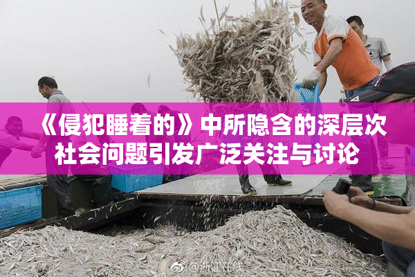 《侵犯睡着的》中所隐含的深层次社会问题引发广泛关注与讨论