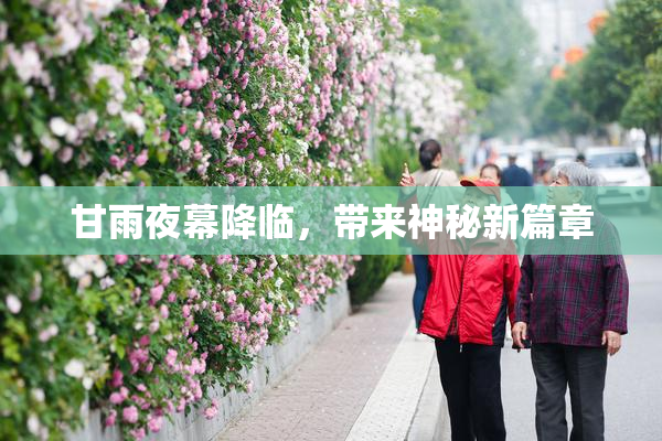 甘雨夜幕降临，带来神秘新篇章